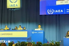 El embajador Vu Le Thai Hoang, representante permanente de Vietnam ante la ONU y las organizaciones internacionales en Viena, habla en la cita. (Foto: VNA)