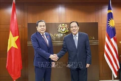El presidente de la Asamblea Nacional (Parlamento) de Vietnam, Tran Thanh Man, y el presidente del Senado de Malasia, Dato’ Awang Bemee Awang Ali Basah. (Foto: VNA)