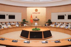 El viceprimer ministro de Vietnam Ho Duc Phoc habla en la reunión. (Foto: VNA)