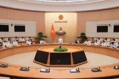 El viceprimer ministro de Vietnam Ho Duc Phoc habla en la reunión. (Foto: VNA)