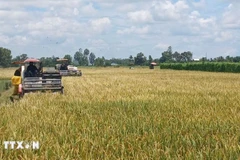 Foto de ilustración