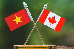 Amigos de Canadá destacan valor de independencia y autodeterminación de Vietnam