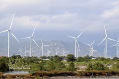 La zona sur de la provincia de Khanh Hoa cuenta con grandes ventajas para el desarrollo de proyectos de energía eólica. Foto: VNA