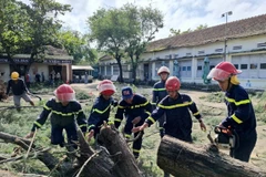 Retiran árbol caído en un escuela secundaria en la provincia de Dak Lak, (Foto: VNA)