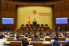 Durante una reunión en el primer período de sesiones de la Asamblea Nacional de la XVI Legislatura. (Foto: VNA)