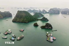 El hermoso paisaje natural de la Bahía de Ha Long atrae a muchos turistas (Foto: VNA)