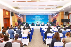 Delegados en el seminario. (Foto: Vietnam+)