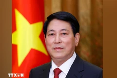 El presidente de Vietnam, Luong Cuong (Foto: VNA)
