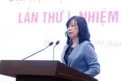 La ministra de Salud, Dao Hong Lan, responde a las preguntas de reporteros acerca de la implementación de las políticas sociales (Foto: VNA)