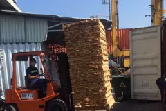A partir del 31 de marzo, se redujo al 0% el impuesto de importación para ciertos productos de madera provenientes de Estados Unidos (Foto: VNA)