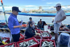 Realizan inspección en un puerto. (Foto: VNA)