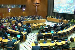 Panorama de la tercera reunión de los Estados Partes en el Tratado sobre la Prohibición de las Armas Nucleares (Foto: VNA)