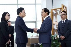 El viceprimer ministro y canciller de Vietnam, Bui Thanh Son, (segundo a la derecha) expresa sus condolencias al embajador de Corea del Sur, Choi Youngsam. (Fuente: VNA)