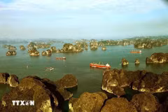 Un rincón de la bahía Bai Tu Long (Fuente: VNA)