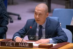 El ministro consejero Nguyen Hoang Nguyen, representante permanente adjunto de Vietnam ante la ONU. (Foto: VNA)