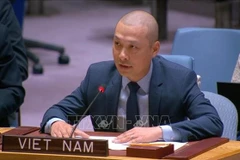 El ministro consejero Nguyen Hoang Nguyen, representante permanente adjunto de Vietnam ante la ONU. (Foto: VNA)