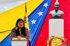 La viceministra de Relaciones Exteriores de Venezuela, Tatiana Pugh, habla en el evento. (Foto: VNA)