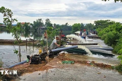 La Cooperativa Agrícola Phu Ho, en la ciudad de Hue, moviliza recursos humanos y bombas para drenar las aguas de las inundaciones y proteger el arroz de los agricultores. (Foto: VNA)
