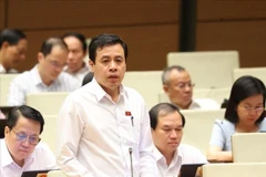 El diputado Tran Anh Tuan de Ciudad Ho Chi Minh habla en una sesión de debate. (Foto: VNA)