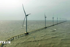 Planta de energía eólica en la ciudad de Duyen Hai, provincia de Vinh Long (antes Tra Vinh). (Foto: VNA)