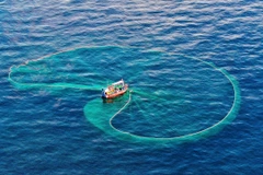 Vietnam amplía esfuerzos para avanzar hacia una pesca responsable