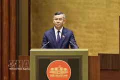 El ministro de Finanzas de Vietnam, Ngo Van Tuan, presenta ante la Asamblea Nacional el proyecto de ley que modifica el artículo 6 y el Anexo IV de la Ley de Inversiones, relativos a la lista de actividades económicas sujetas a condiciones de inversión. (Foto: VNA)