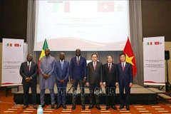 El presidente de la Asamblea Nacional vietnamita, Tran Thanh Man, (tercero desde la derecha) y su homólogo senegalés, El Malick Ndiaye, (cuarto desde la izquierda) junto con delegados en undiálogo político para promover la cooperación entre Vietnam y Senegal. (Foto: VNA)