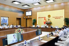 El vicepresidente de la Asamblea Nacional Nguyen Khac Dinh habla en el evento. (Foto: VNA)