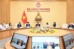 El ministro de Industria y Comercio de Vietnam, Nguyen Hong Dien, y el ministro de Relaciones Exteriores de Brasil, Mauro Vieira, mantuvieron una conversación telefónica. Foto: Ministerio de Industria y Comercio