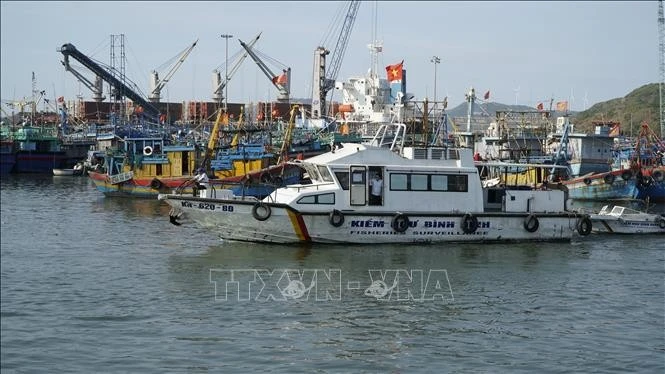 Las autoridades funcionales inspeccionan el puerto pesquero de Quy Nhon (Foto. VNA)
