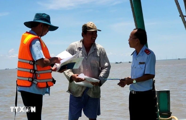 Las autoridades inspeccionan el cumplimiento de las normas contra la IUU por parte de los pescadores. (Foto: VNA)