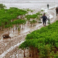 Vietnam vive en armonía con la naturaleza y el desarrollo sostenible