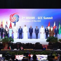 Vietnam sugiere a ASEAN y CCG formar nuevo modelo de cooperación interregional