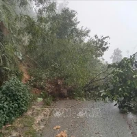 Consecuencias de un deslizamiento de tierra en la provincia norteña de Lao Cai (Foto: VNA)
