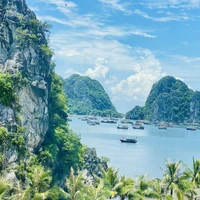 Un destino de turismo ecológico en la provincia de Quang Ninh (Foto: VNA)