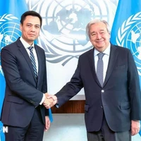 El embajador Dang Hoang Giang (izquierda), jefe de la misión permanente de Vietnam ante la ONU, se reúne con el secretario general de la institución multilateral, António Guterres (Foto: VNA)