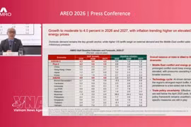 El economista en jefe de AMRO, Dong He, expresó su expectativa de que Vietnam siga siendo la economía de más rápido crecimiento en la región en 2026. (Fuente: VNA)