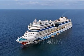 El crucero Aida Stella llega a Phu Quoc (Fuente: VNA)