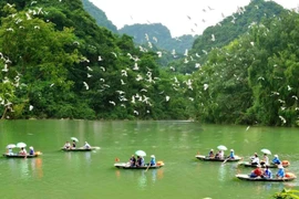 Thung Nham, un paraíso del turismo ecológico en Vietnam