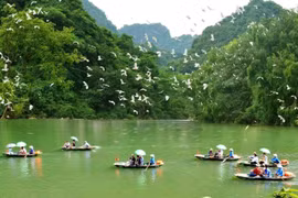 Thung Nham, un paraíso del turismo ecológico en Vietnam