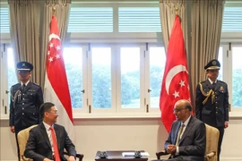 El embajador vietnamita en Singapur, Tran Phuoc Anh (izquierda), y el presidente del país insular, Tharman Shanmugaratnam. (Fuente: VNA)