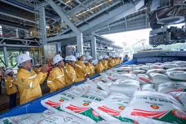 Empresa vietnamita exporta con éxito 40 mil toneladas de fertilizantes a Estados Unidos (Fuente: Petrovietnam)