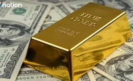 Foto ilustrativa (Fuente: internet)