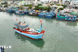 Vietnam lucha contra pesca ilegal (Fuente: VNA)