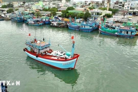 Vietnam lucha contra pesca ilegal (Fuente: VNA)