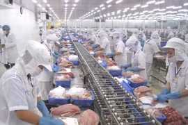 Procesamiento de productos acuícolas destinados a la exportación. (Foto: Vietnam+)