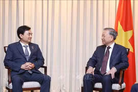 El secretario general del Partido Comunista de Vietnam, To Lam, y Ahn Gyu Back, presidente del Grupo Parlamentario de Amistad Corea del Sur-Vietnam. (Fuente: VNA)