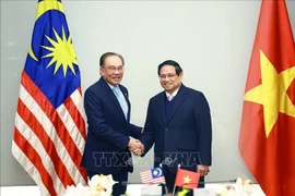 El primer ministro de Vietnam, Pham Minh Chinh y su homólogo malasio Anwar Ibrahim. (Fuente: VNA)