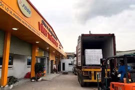 Contenedor de huevos listos para el consumo exportado a Japón por Vinh Thanh Dat (Fuente: thanhnien.vn)