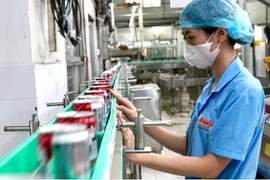 La producción en la empresa Bidrico. (Fuente: sggp.org.vn) 